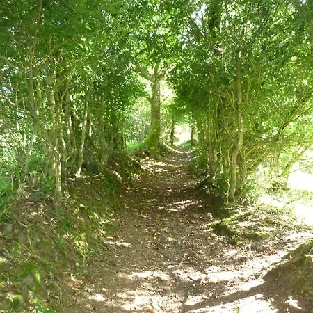 度假居 Les Marmottes Pour 12 Avec Bain Nordique Privatif