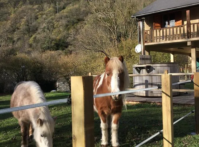 Les Marmottes Pour 12 Avec Bain Nordique Privatif *