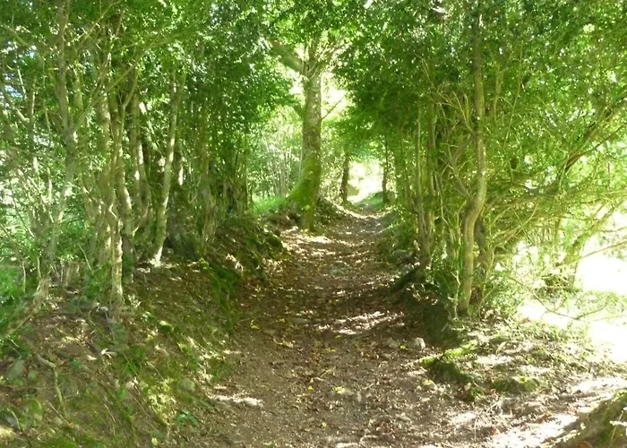 度假居 Les Marmottes Pour 12 Avec Bain Nordique Privatif